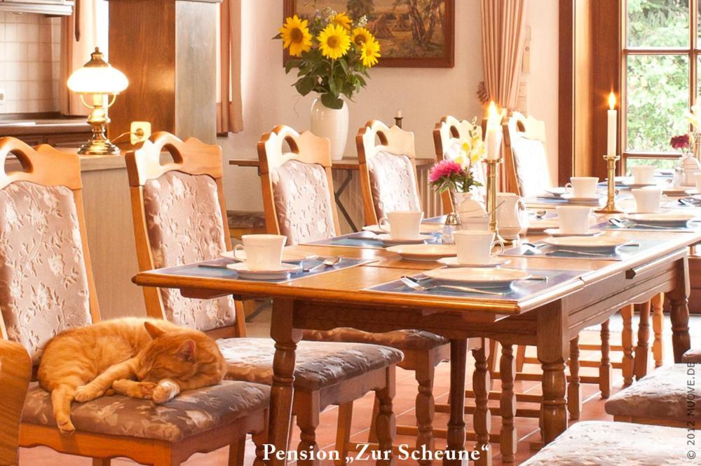 Pension Zur Scheune Plau am See Εξωτερικό φωτογραφία